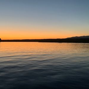 Meet your Posher, Brooklyn